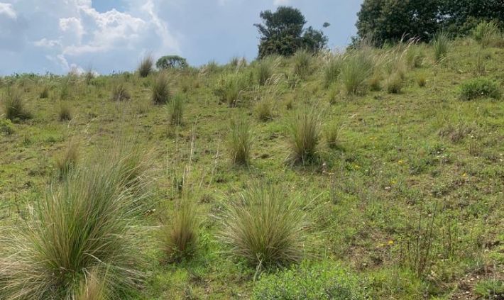 Terreno en venta, Municipio de Calimaya Estado de México.